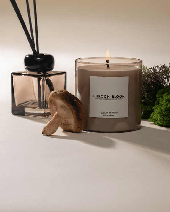 Shroom Bloom candle styled with a reed diffuser, mushrooms and greenery