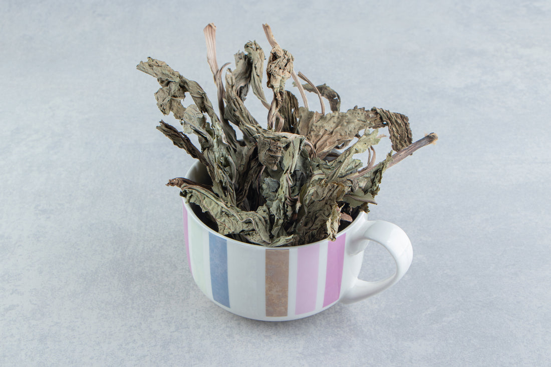 A dried-up plant in a pastel striped mug on a gray surface.