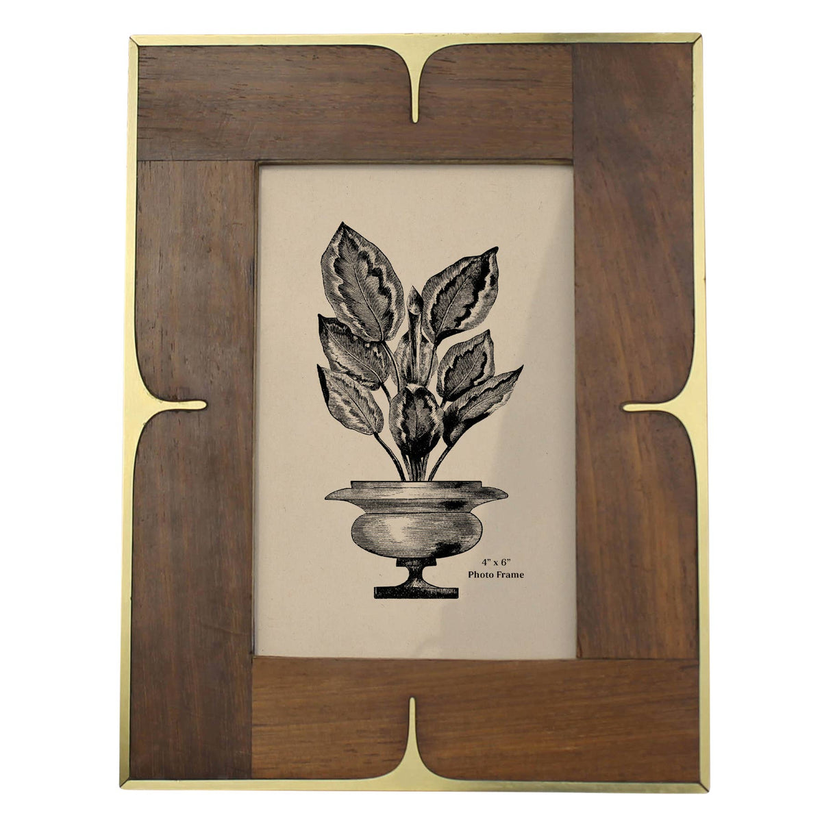 Dark wood 4x6 photo frame with scalloped brass corners holding a potted plant print