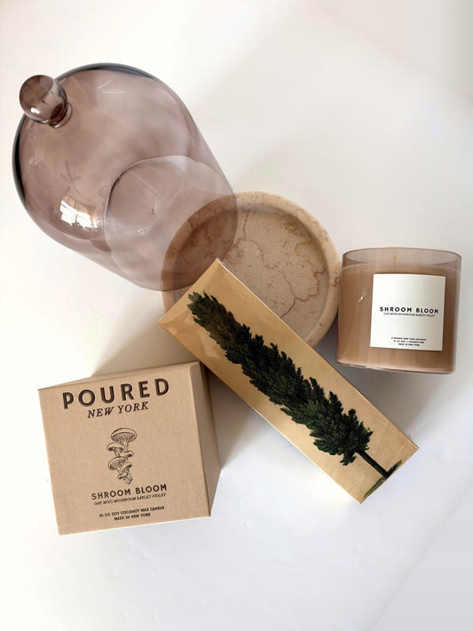 Mushroom Candle gift set: tinted mushroom glass cloche with travertine base, Shroom Bloom candle with box and Tall Trees safety matches